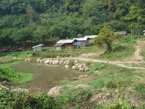 Elephant Camp