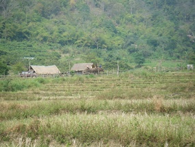 Elephant Camp