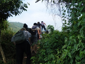 First Hike to Elephant Camp