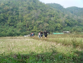 Hiking to Camp