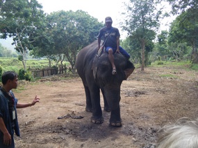 Mahout Dismounts