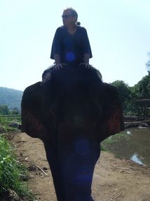 Elephant Camp