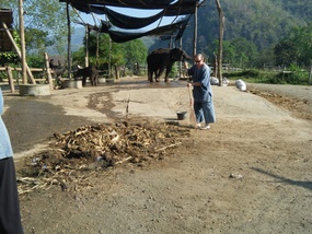 Sweeping Up Camp