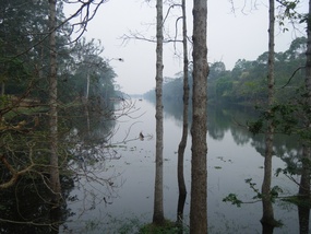 Moat Around Angkor Thom