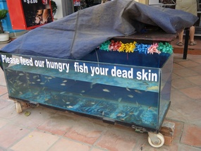 Fish Foot Massage