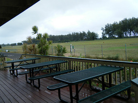 Dive Site