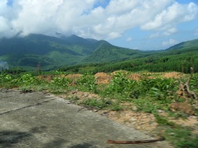 Vietnam Countryside