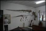 169. Dinosaur Museum (Savannakhet)