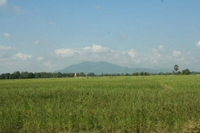 09. Rice fields