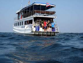 441. Diving at Koh Haa