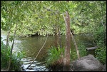 Looks like a nice spot for lunch