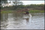 A spot of afternoon fishing