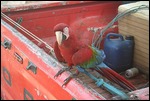 Hanging out on our truck