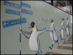 Only penguins I've seen... so far