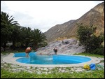 Pool in the Oasis