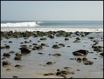 Fancy a surf?