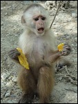 Poor little fella