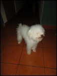 Is he my childhood toy?