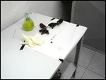 Getting the equipment ready