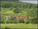 05 Entire resort built for faithful friends