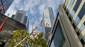 Hong Kong
