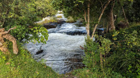 Mutanda River at the Lodge
