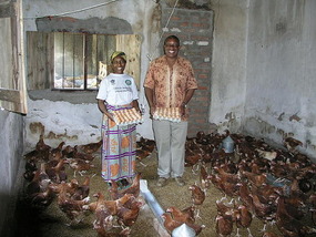 a Gracious and Loney's Poultry operation