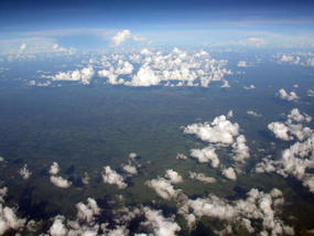 03 Congo Jungle