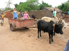 g Great transportation