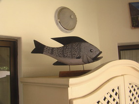 What a Chambo fish looks like