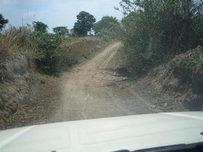 The rough road in the bush near Mapoko
