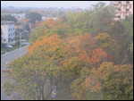 Ottawa colour