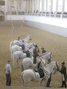 spanish riding school