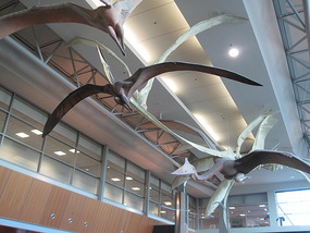 calgary airport/home