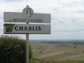 Over looking the vines