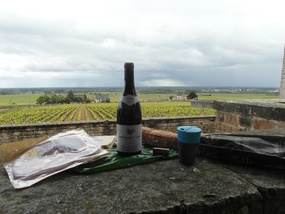 Lunch in Burgundy 