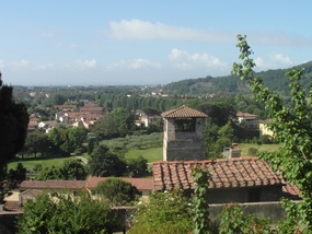 View from front window