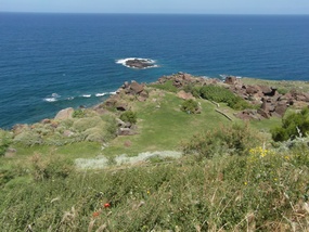 Picnic ground & Brown Island