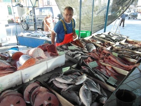 Anyone for fish