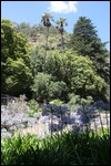 Waterfall Gully near Mount Lofty
