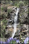 Waterfall Gully near Mount Lofty
