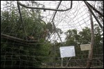 Storm damage