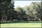 A walk in the reserve