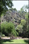 Gardens at Cudlee Creek Cafe