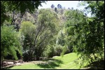 Gardens at Cudlee Creek Cafe