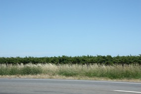 Entering the McClaren Vale wine region