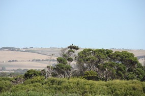The view from our holiday home