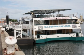 Dolphin Cruise ship