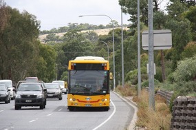 Here comes our bus