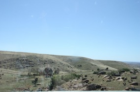 Scenery on route to Mannum